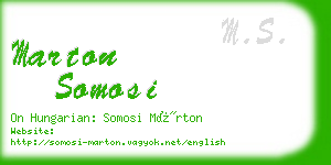 marton somosi business card